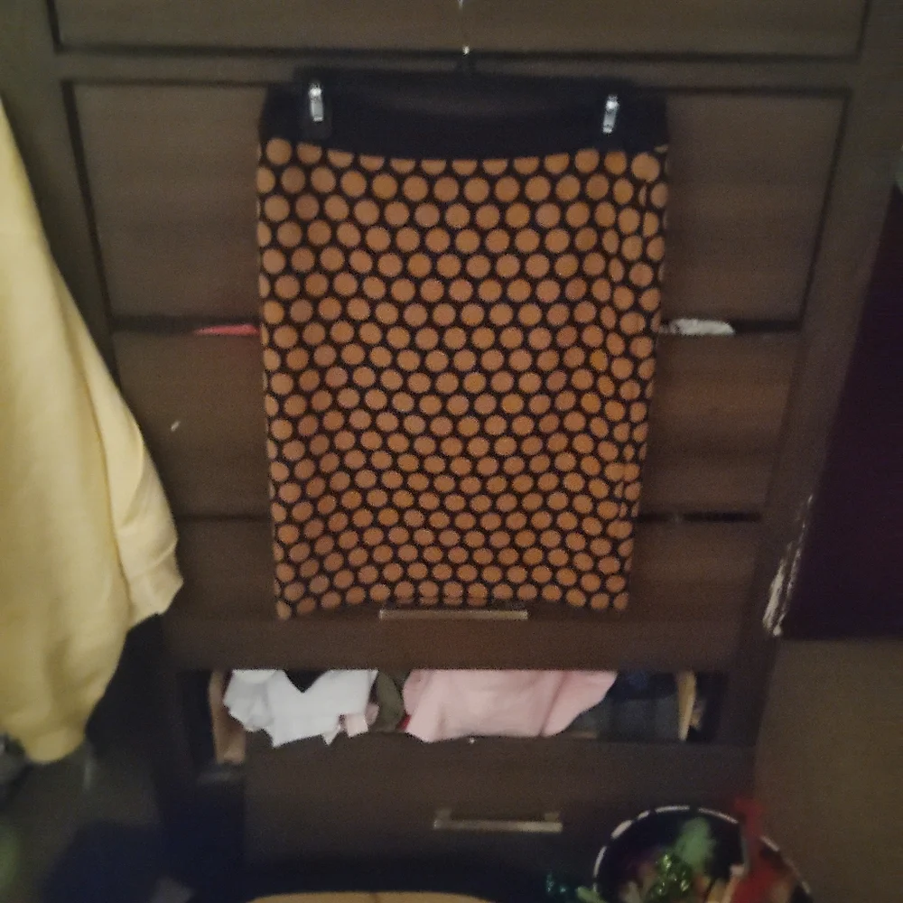 TALBOTS Polka Dot Pencil Skirt - Size 2